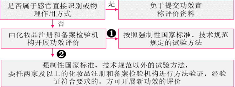 功效,宣称,评价,试验,化妆品 功效,宣称,评价,试验,化妆品