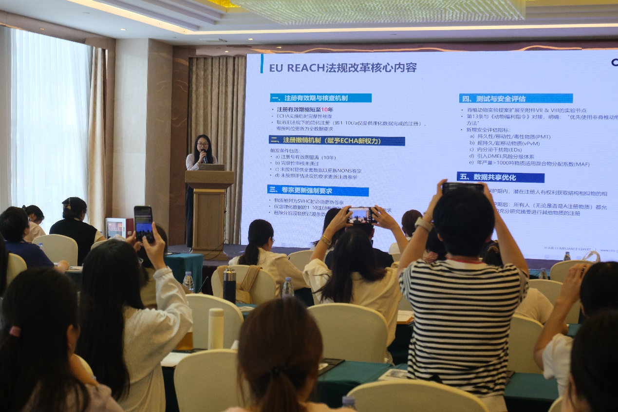 化学品,合规,可持续,全球